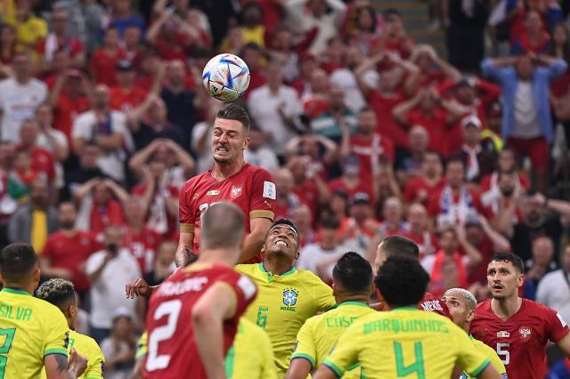 开云-【前瞻】首战输球并非末日 塞尔维亚即将找回状态？